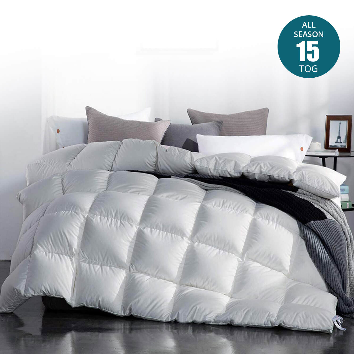 On sale Goose down comforter